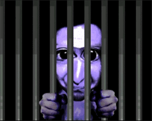Ad