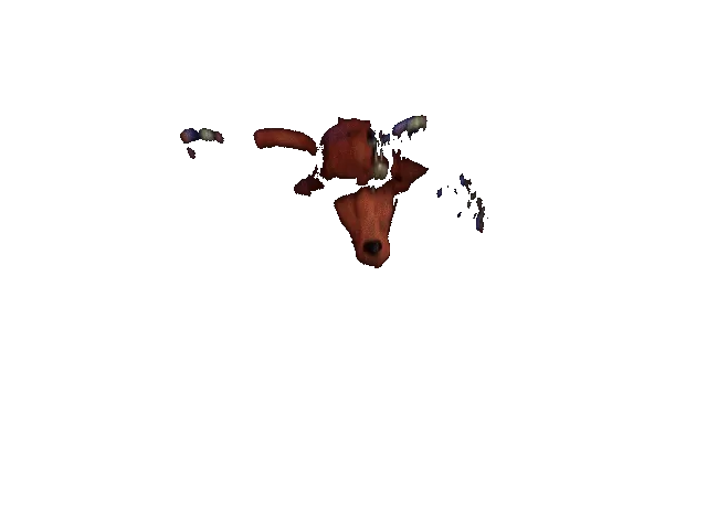foxy